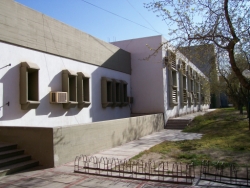 origen de la familia olea